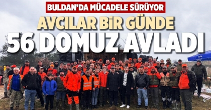 AVCILAR BİR GÜNDE 56 DOMUZ AVLADI