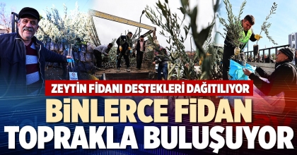 BİNLERCE FİDAN TOPRAKLA BULUŞUYOR