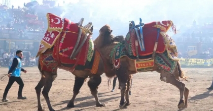 DEVE GÜREŞİ FESTİVALİ İPTAL EDİLDİ