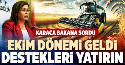 EKİM DÖNEMİ GELDİ DESTEKLERİ YATIRIN