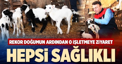 HEPSİ SAĞLIKLI