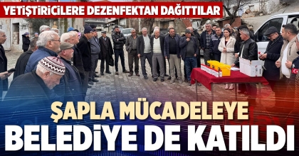 ŞAPLA MÜCADELEYE BELEDİYE DE KATILDI