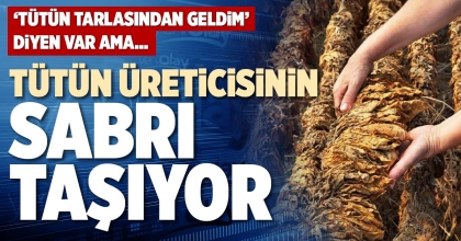 TÜTÜN ÜRETİCİSİNİN SABRI TAŞIYOR