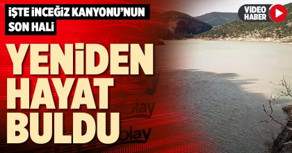 YENİDEN HAYAT BULDU