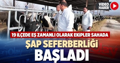 ŞAP SEFERBERLİĞİ BAŞLADI
