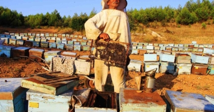 TÜRK ÇAM BALININ DÜNYA PAZARINDAKİ EKONOMİK PAYI ARTTIRILACAK