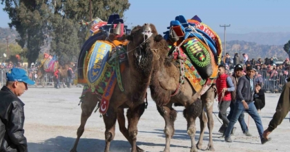 DEVE GÜREŞİ TAKVİMİ BELLİ OLDU
