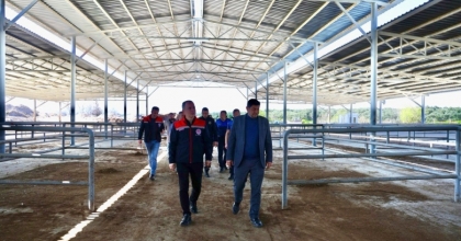 ŞAP HASTALIĞI NEDENİYLE KAPALI OLAN HAYVAN PAZARI YENİDEN AÇILIYOR
