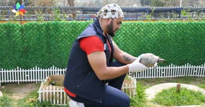KUŞADASI’NDA KAPLUMBAĞALAR İÇİN ÖZEL YAŞAM ALANI OLUŞTURULDU
