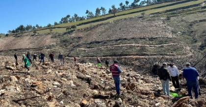ORMAN HAFTASI’NDA FİDANLAR TOPRAKLA BULUŞTU
