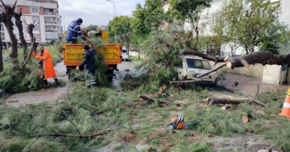 ÜZERİNE AĞAÇ DEVRİLEN PARK HALİNDEKİ ARAÇ ZARAR GÖRDÜ