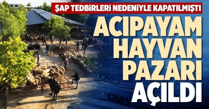 ACIPAYAM HAYVAN PAZARI AÇILDI