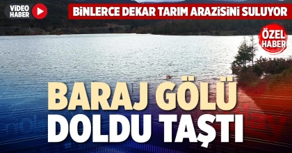 BARAJ GÖLÜ DOLDU TAŞTI