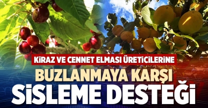 BUZLANMAYA KARŞI SİSLEME DESTEĞİ
