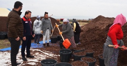 ÇİVRİL’DE BLUEBERRY ÜRETİMİNE YERİNDE İNCELEME