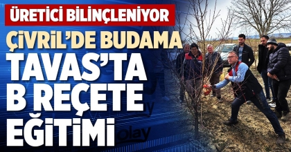 ÇİVRİL’DE BUDAMA TAVAS’TA B REÇETE EĞİTİMİ