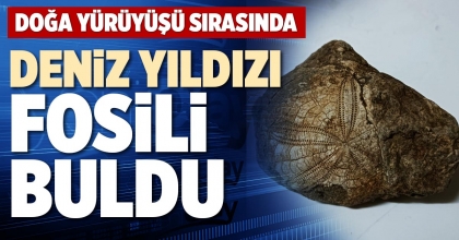 DENİZ YILDIZI FOSİLİ BULDU