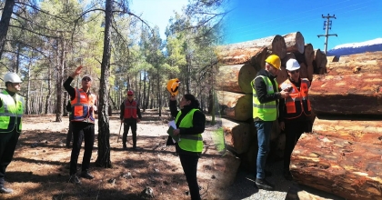 DENİZLİ’DE ORMANCILIK FAALİYETLERİ YERİNDE İNCELENDİ