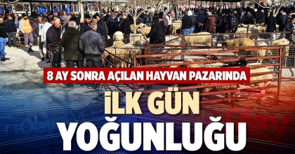 8 AY SONRA AÇILAN HAYVAN PAZARINDA İLK GÜN YOĞUNLUĞU
