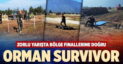 ORMAN SURVIVOR
