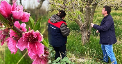 SARAYKÖY’DE MEYVE BAHÇELERİ YAKIN TAKİPTE