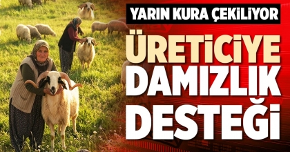 ÜRETİCİYE DAMIZLIK DESTEĞİ