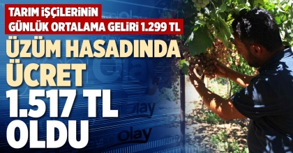 ÜZÜM HASADINDA ÜCRET 1.517 TL OLDU