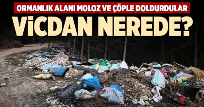 VİCDAN NEREDE?