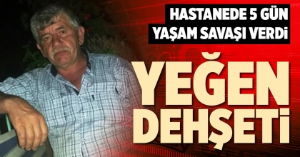 YEĞEN DEHŞETİ