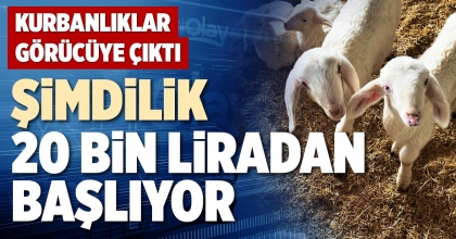 ŞİMDİLİK 20 BİN LİRADAN BAŞLIYOR