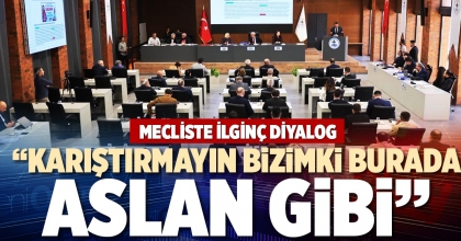 “KARIŞTIRMAYIN BİZİMKİ BURADA ASLAN GİBİ”