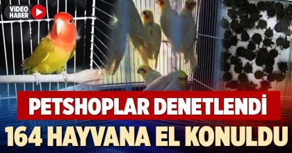 164 HAYVANA EL KONULDU