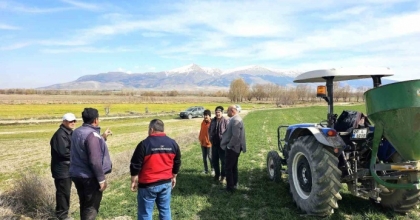HAŞHAŞ VE HUBUBATTA HASTALIK VE ZARARLI KONTROLLERİ BAŞLADI
