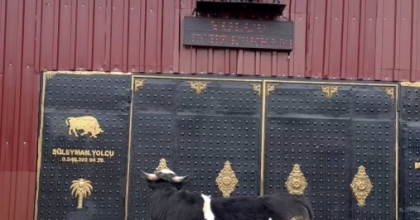 HEYKELİ GERÇEK SANIP KAÇTI: TOSUNUN ŞAŞKINLIĞI SOSYAL MEDYADA GÜNDEM OLDU
