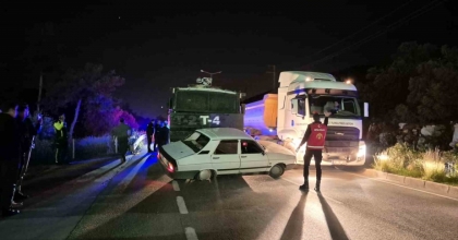 BODRUM’DA TOMA, OTOMOBİLE ÇARPTI

