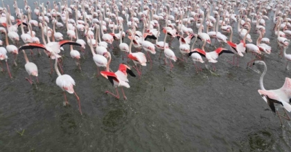 EBER GÖLÜ’NDE GÖRSEL ŞÖLEN