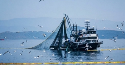 DENİZLERDE AV YASAĞI 15 NİSAN’DA BAŞLIYOR