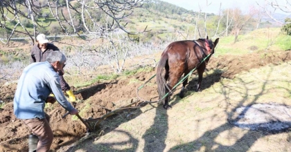 GENÇLER KÖYÜ TERK EDİNCE İŞ YAŞLILARA KALDI