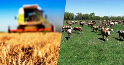 ACIPAYAM’DA TARIM VE HAYVANCILIĞA BÜYÜK DESTEK