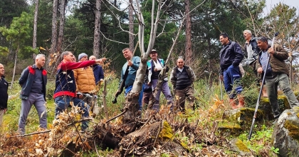 BABADAĞ’DA KESTANE ÜRETİMİNDE VERİMİ ARTIRAN EĞİTİM