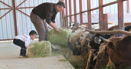 BESİ DESTEĞİ HESAPLARA AKTARILIYOR