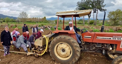 BEYAĞAÇ’TA TÜTÜN SEZONU BAŞLADI