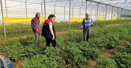 BULDAN VE TAVAS'TA TARIMSAL SAHA DENETİMLERİ