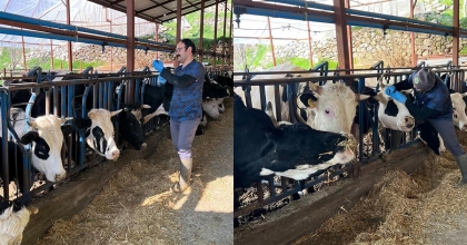 ÇAMELİ’DE HAYVAN SAĞLIĞI İÇİN AŞILAMA SEFERBERLİĞİ SÜRÜYOR