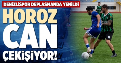 HOROZ CAN ÇEKİŞİYOR!