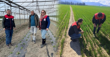 HUBUBAT VE ÖRTÜ ALTI ÜRETİMİNE TEKNİK TAKİP