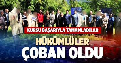 HÜKÜMLÜLER ÇOBAN OLDU