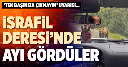 İSRAFİL DERESİ’NDE AYI GÖRDÜLER