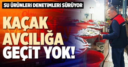 KAÇAK AVCILIĞA GEÇİT YOK!