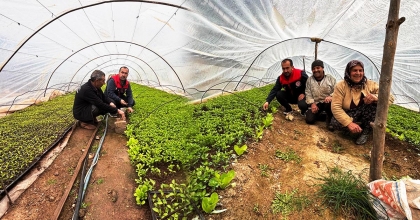 KALE BİBERİNİN KALİTESİ İÇİN SAHADA İNCELEME